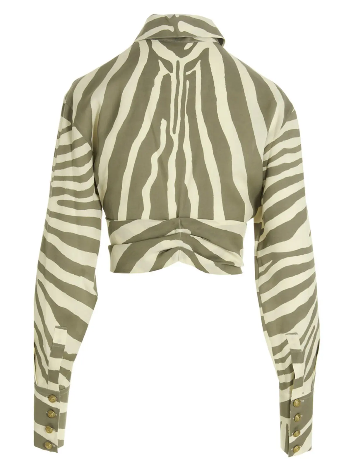 Сорочка Zebra Balmain Багатокольоровий 2 Zebra shirt AF1HU105VC81GLU BALMAIN Multicolor
