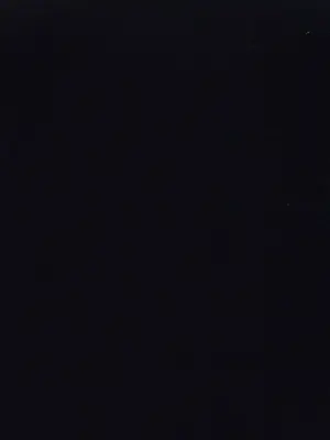 Knit top 79% virgin wool 19% polyamide 2% elastane MAX MARA Blue