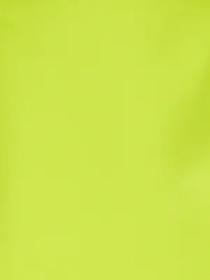 'Noli' dress  SPORTMAX Green