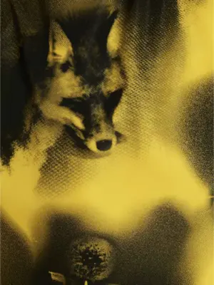 Re-Nylon printed parka Fall Winter 2022/2023 PRADA Yellow