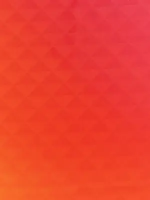 'Symbole' print scarf Woman PRADA Red