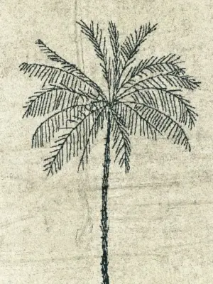 Beach towel 'La Serviette Croisière' Woman JACQUEMUS Green