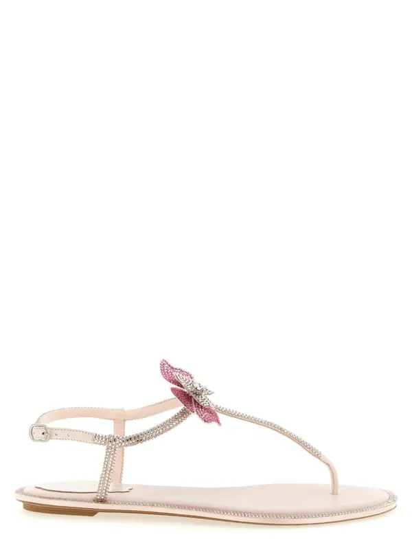 'Fairy' sandals RENÉ CAOVILLA Pink