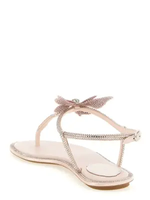 'Fairy' sandals Woman RENÉ CAOVILLA Pink