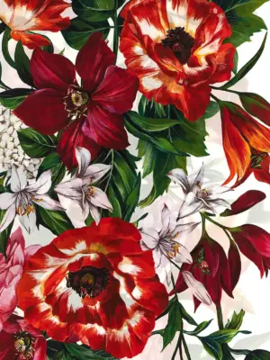 Floral print scarf Woman DOLCE & GABBANA Multicolor