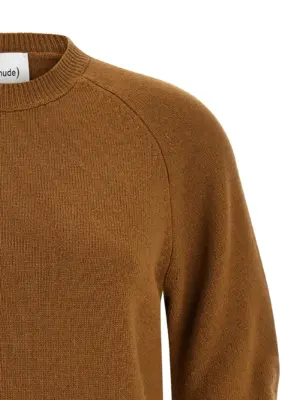 Curved sleeve sweater Woman NUDE Brown