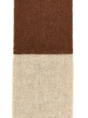 'Acrobat' double-face scarf Woman LOEWE Multicolor